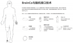 认知能力获得了显著改