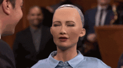 <b>若是这些方针取我们的方针纷歧</b>